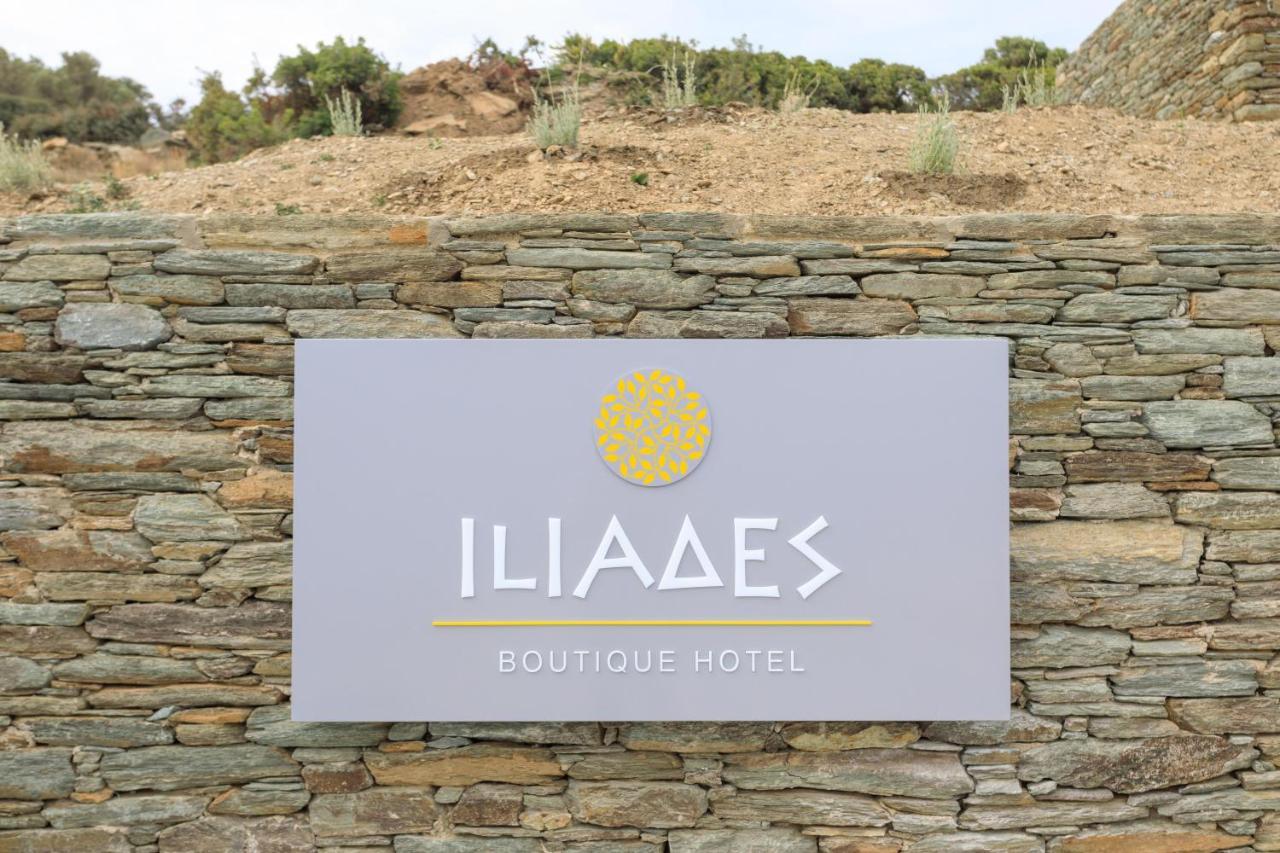 Iliades Luxury Boutique Suites Batsi  Exterior photo